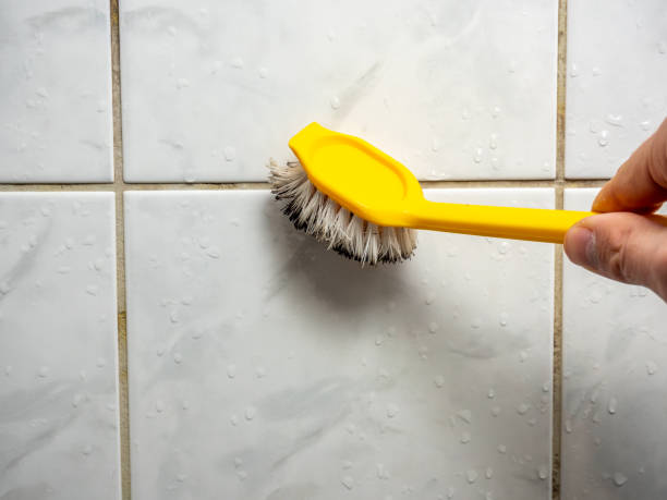 Best Mold Testing and Inspection Services in Edwardsburg, MI