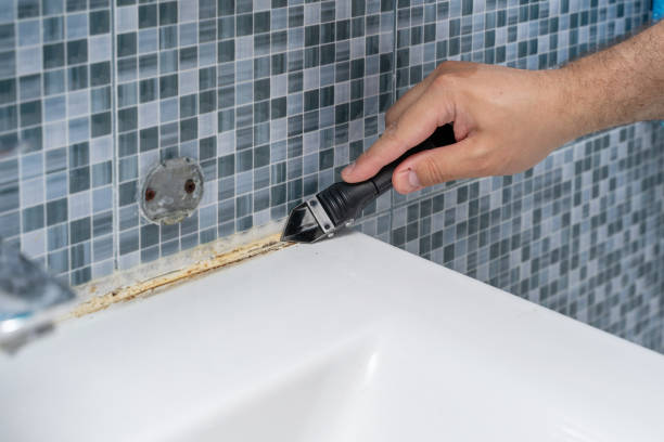 Best DIY Mold Remediation Support Services in Edwardsburg, MI